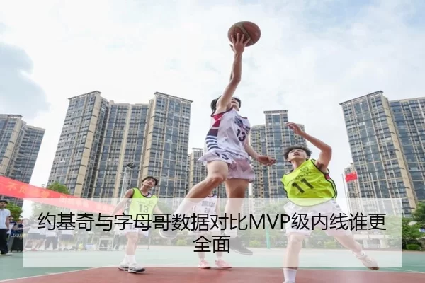 约基奇与字母哥数据对比MVP级内线谁更全面
